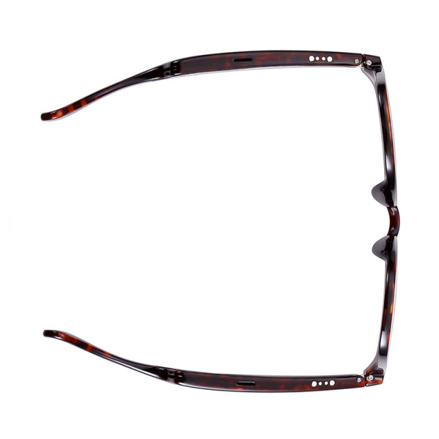 AI Audio (tortoiseshell) Sunglasses, Bluetooth Music &amp; Calling, AI Translation, Photochromic Blue Light Blocking Lenses, IPX4 Waterproof  RC-SG028