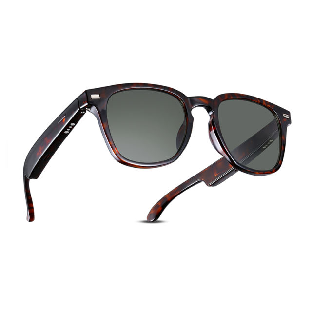 AI Audio (tortoiseshell) Sunglasses, Bluetooth Music &amp; Calling, AI Translation, Photochromic Blue Light Blocking Lenses, IPX4 Waterproof  RC-SG028
