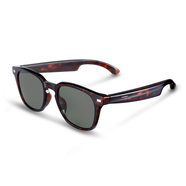 AI Audio (tortoiseshell) Sunglasses, Bluetooth Music &amp; Calling, AI Translation, Photochromic Blue Light Blocking Lenses, IPX4 Waterproof  RC-SG028