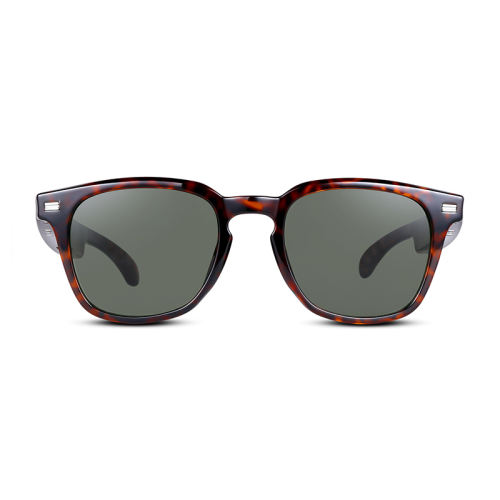 AI Audio (tortoiseshell) Sunglasses, Bluetooth Music & Calling, AI Translation, Photochromic Blue Light Blocking Lenses, IPX4 Waterproof  RC-SG028