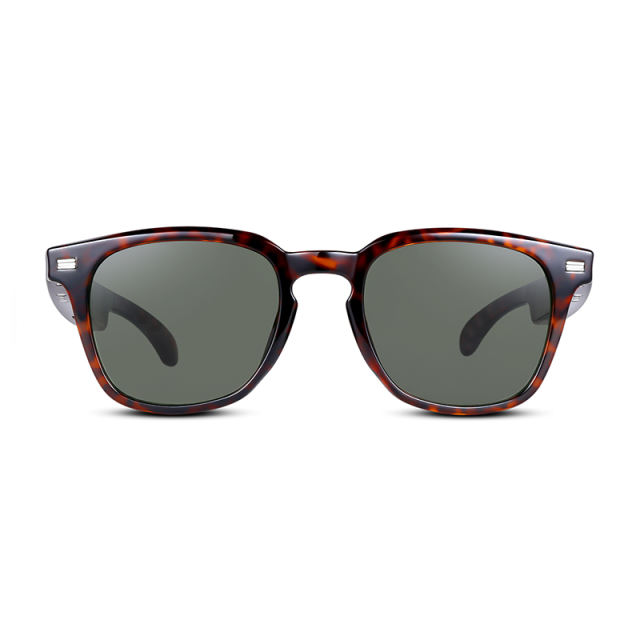 AI Audio (tortoiseshell) Sunglasses, Bluetooth Music &amp; Calling, AI Translation, Photochromic Blue Light Blocking Lenses, IPX4 Waterproof  RC-SG028