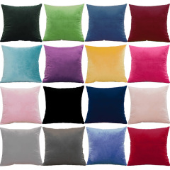 Versatile Throw Pillow for Home Decor & Seating