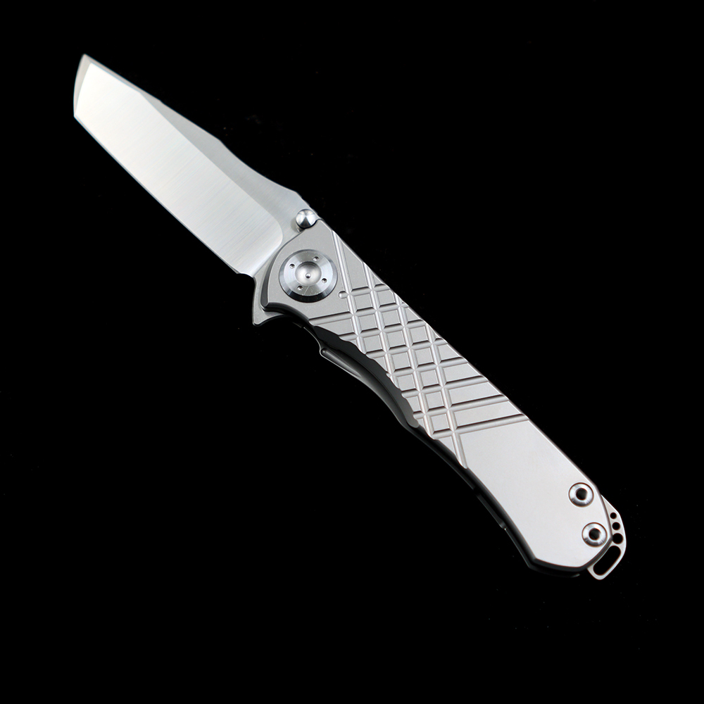 Chris Reeve Umnumzaan 100% N690 Titanium Handle Folding Knife