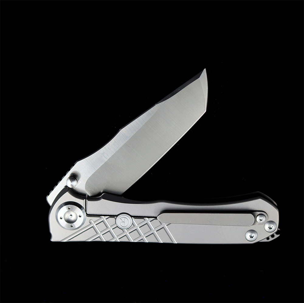 Chris Reeve Umnumzaan 100% N690 Titanium Handle Folding Knife