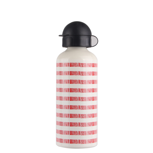 350ml/400ml/500ml/600ml/750ml/1000ml Factory Wholesale aluminum Sports Water Bottle Outdoor Small Water Bottle Travel Riding Portable Children Water Bottle with flip top cap