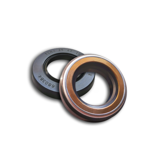 Pump Seals/High pressure Seals -Type N