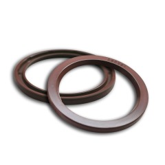 Motor Seals -Type G