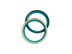 SB type oil seal
