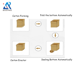 Automatic Machine Carton Erector bottom Sealer Carton Packaging Line