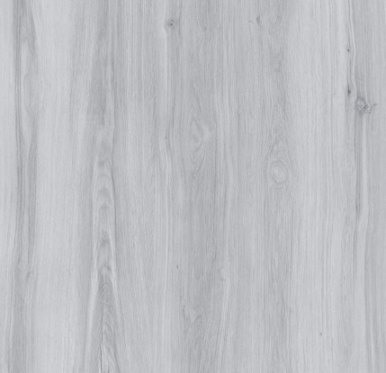 SPC Flooring W19