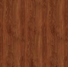 SPC Flooring W22