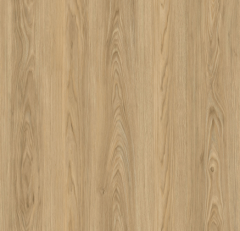 SPC Flooring W21