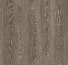 SPC Flooring W25