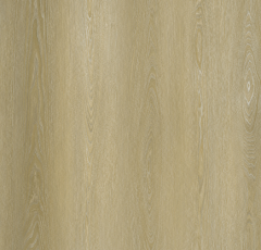 SPC Flooring W23
