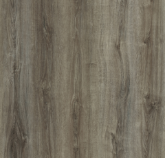SPC Flooring W39