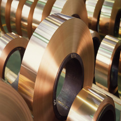 Copper Beryllium Strip/Beryllium Copper Strip