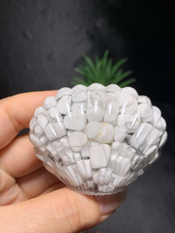 shell Natural crystal chips  epoxy resin synthetic handicrafts outside single hot selling