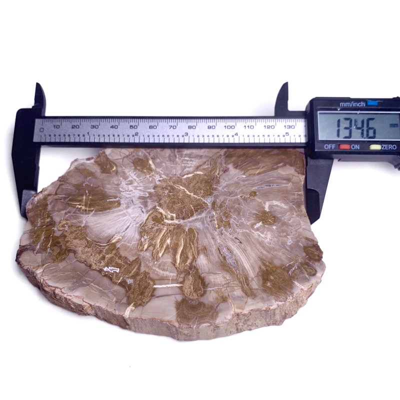 Petrified wood rough stone ornament