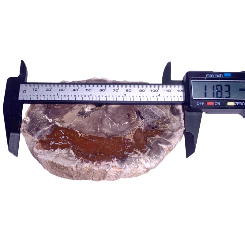 Petrified wood rough stone ornament