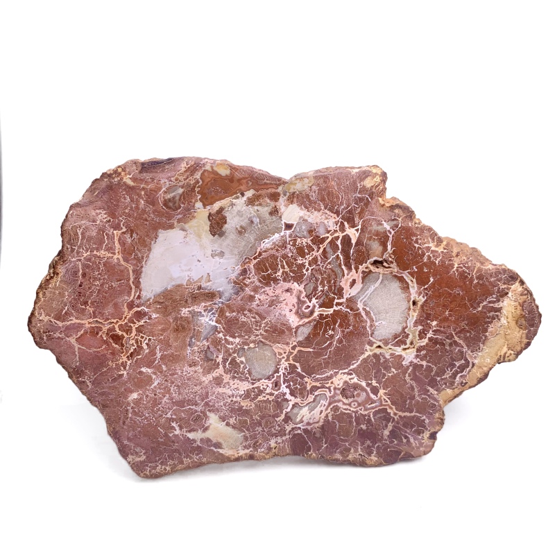 Petrified wood rough stone ornament