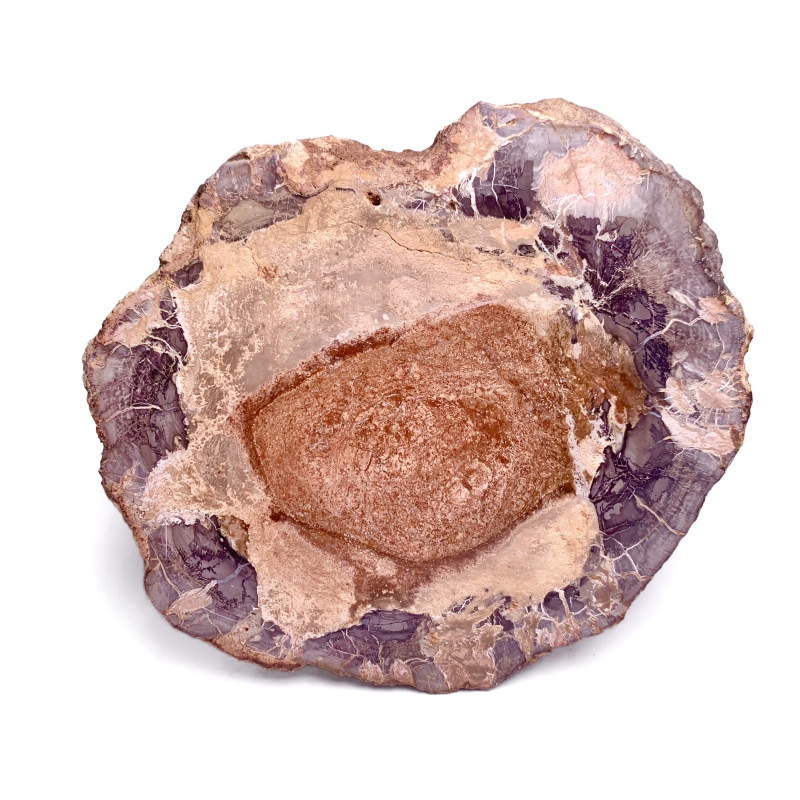 Petrified wood rough stone ornament