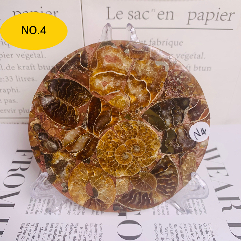 High quality polished natural ammonite screw plate fossil ornament home bedroom desktop ornament decoration