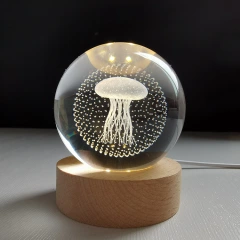 Single jellyfish