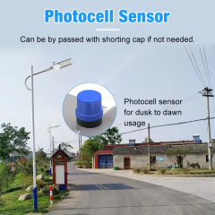 Oscar Series LED Street Light 20W-240W