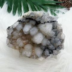 Lotus Quartz