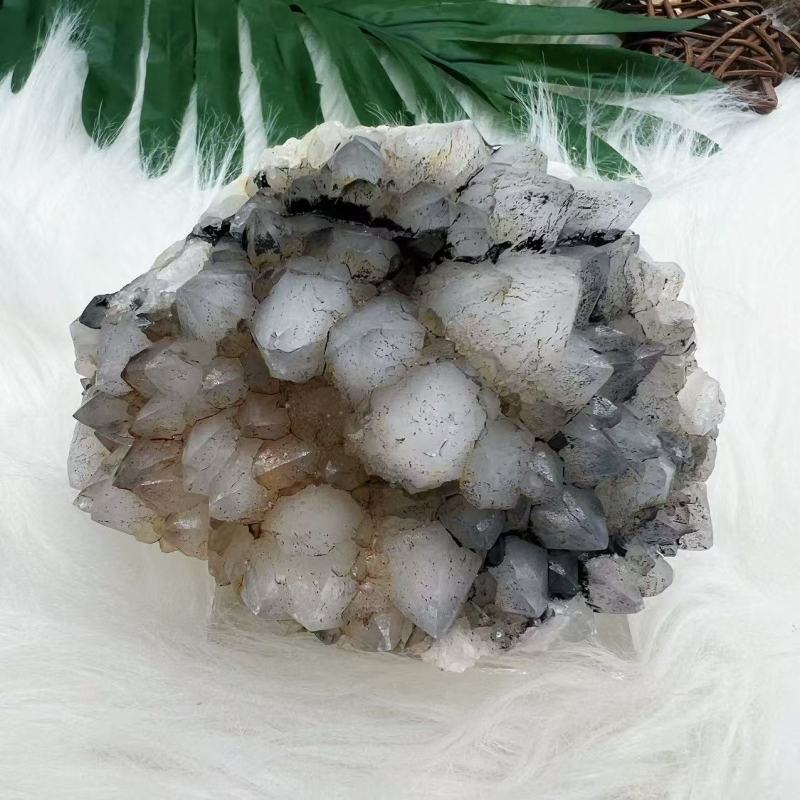 Lotus Quartz