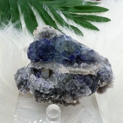 Blue phantom Fluorite
