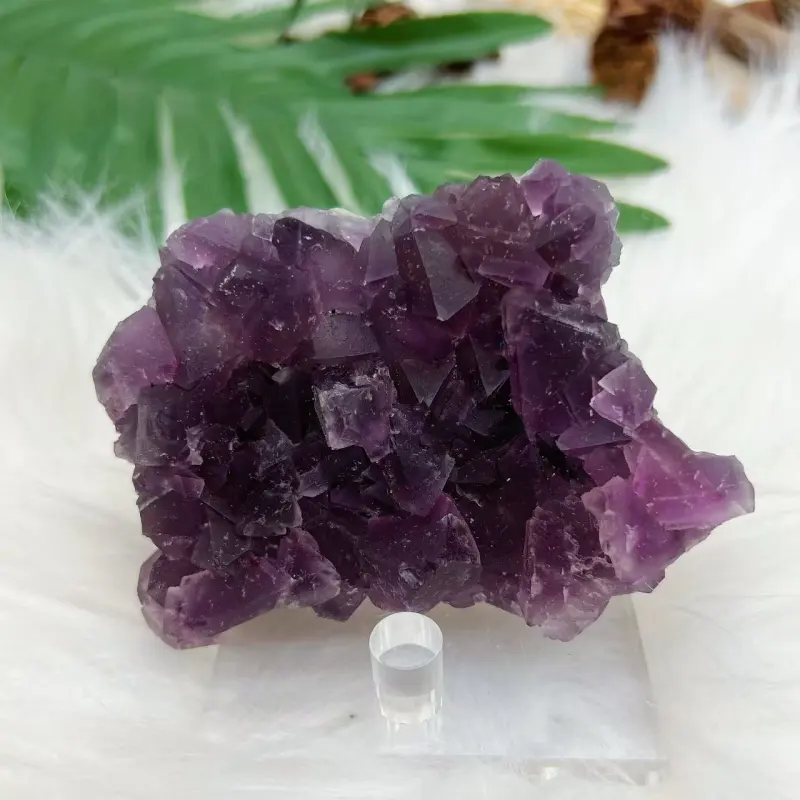 Purple octahedral Fluorite