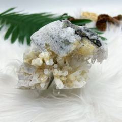 Golden healer cluster Skull