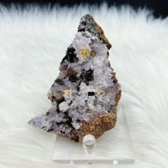 Spiky creedite