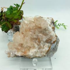 Pink feather calcite