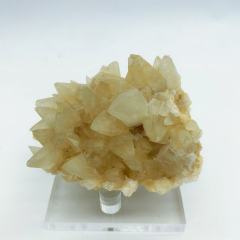 Tooth calcite