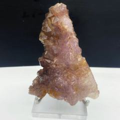 Blackcurrent Super seven