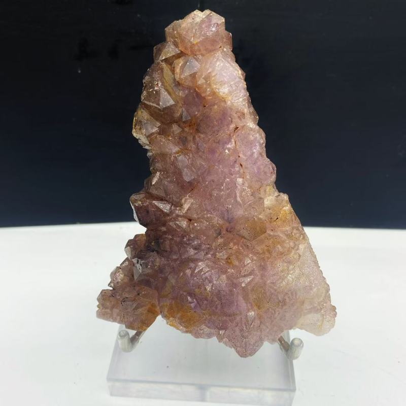 Blackcurrent Super seven