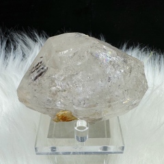 blue petroleum herkimer