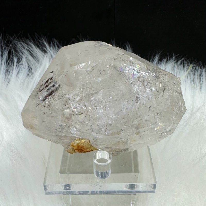 blue petroleum herkimer