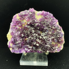 purple window Fluorite