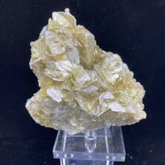 golden mica