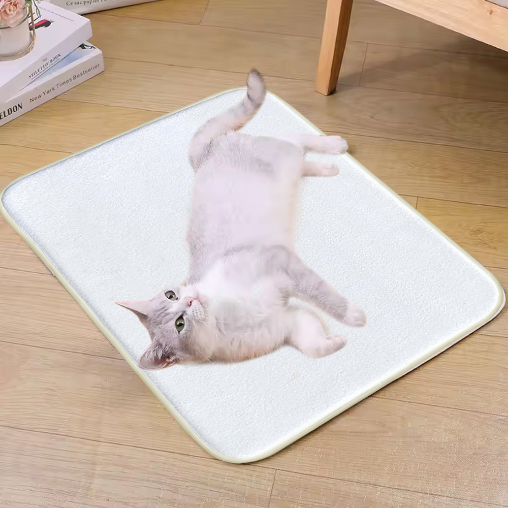 Personalized Non-Slip Absorbent Sublimation Pet Mat; DIY Heat Transfer Short Plush Door Mats