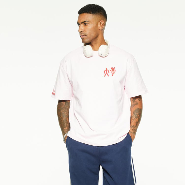Cotton logo customized printed embroidered T-Shirts