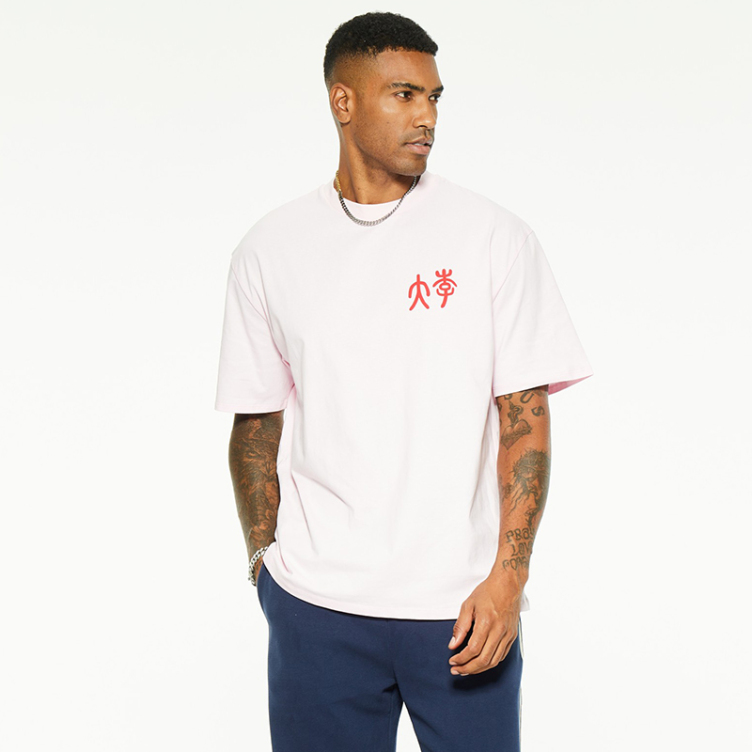 Cotton logo customized printed embroidered T-Shirts
