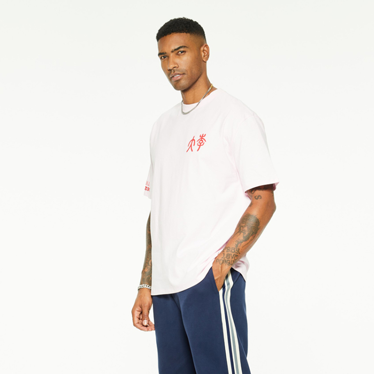 Cotton logo customized printed embroidered T-Shirts