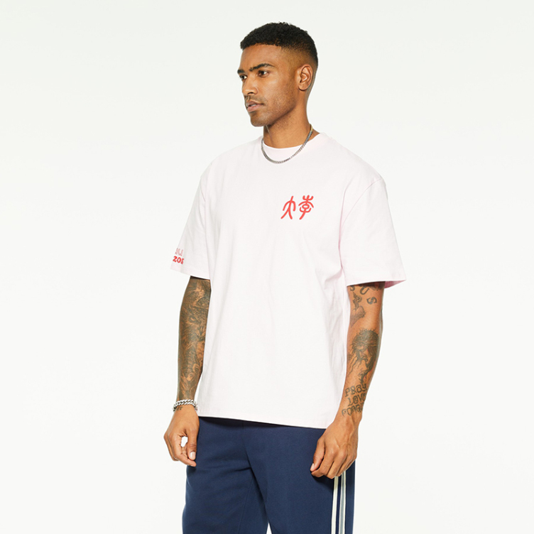 Cotton logo customized printed embroidered T-Shirts