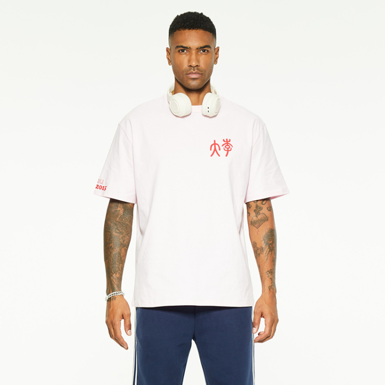Cotton logo customized printed embroidered T-Shirts