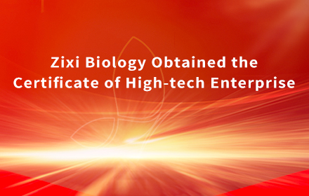 News | Zixi Biology Obtained the Certificate of High-tech Enterprise