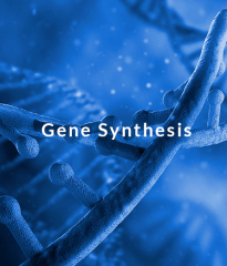GENE SYNTHESIS